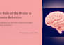 craft modern and engaging powerpoint slides
